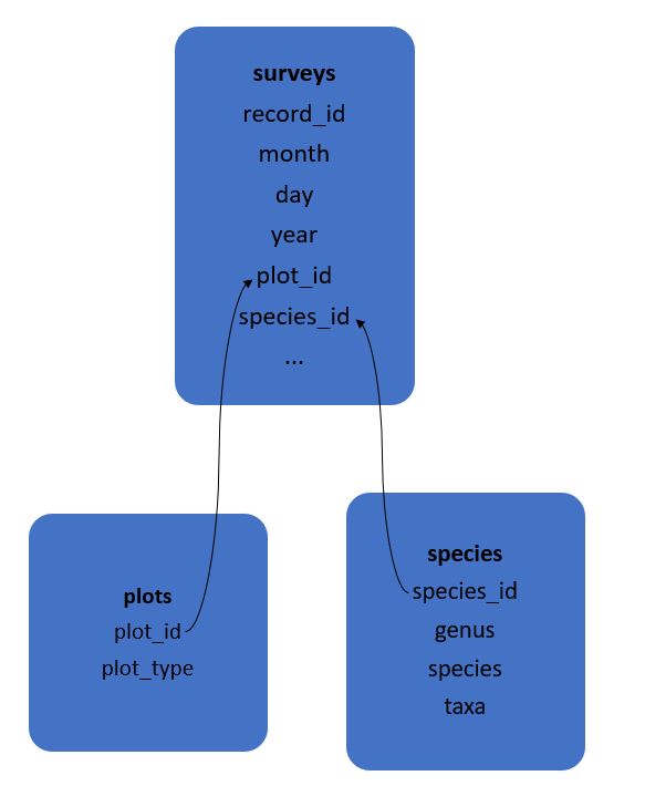 Relations of survey data tables